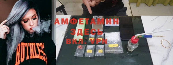 гашик Горняк