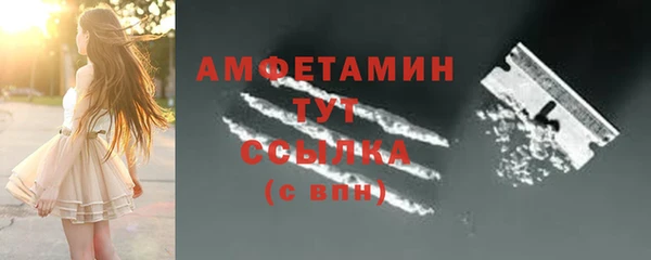 гашик Горняк