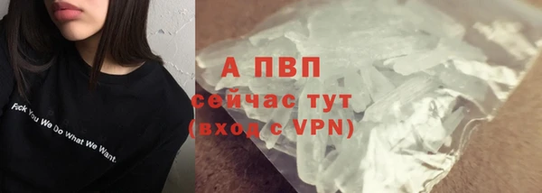 гашик Горняк