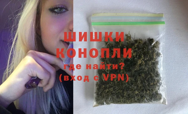 гашик Горняк