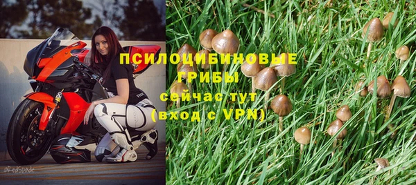 spice Горнозаводск