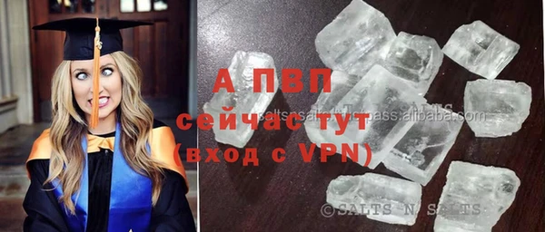 spice Горнозаводск