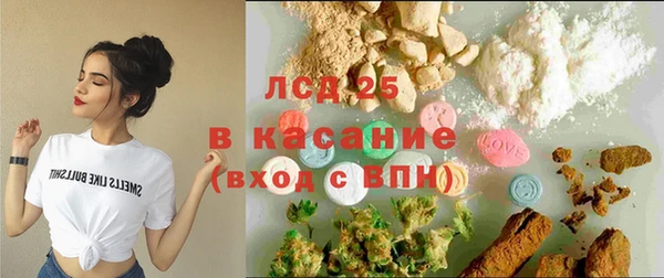 гашик Горняк