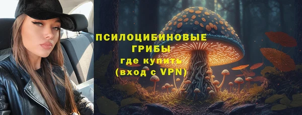 гашик Горняк