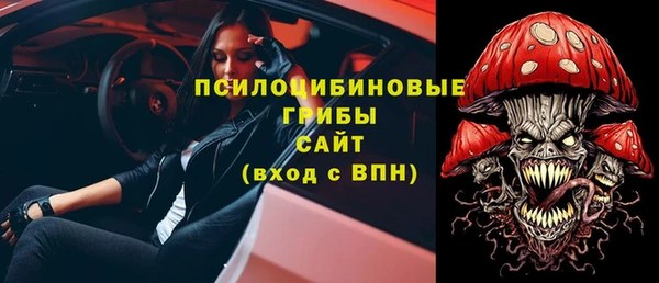гашик Горняк